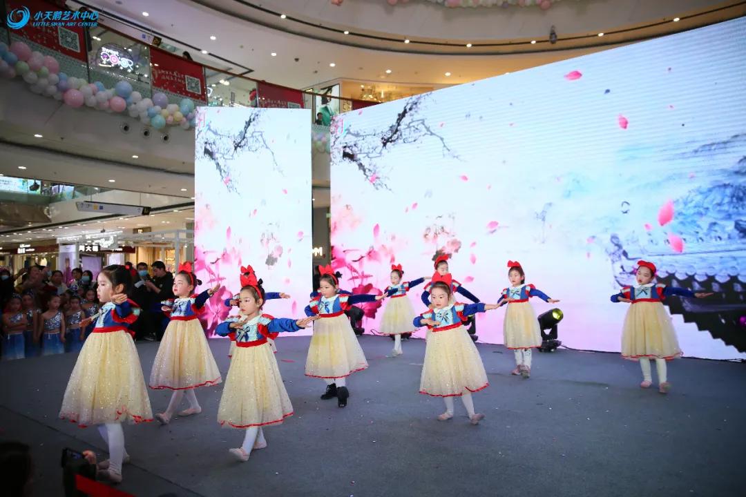 小天鹅艺术中心专场演出现场,小天鹅艺术中心专场演出