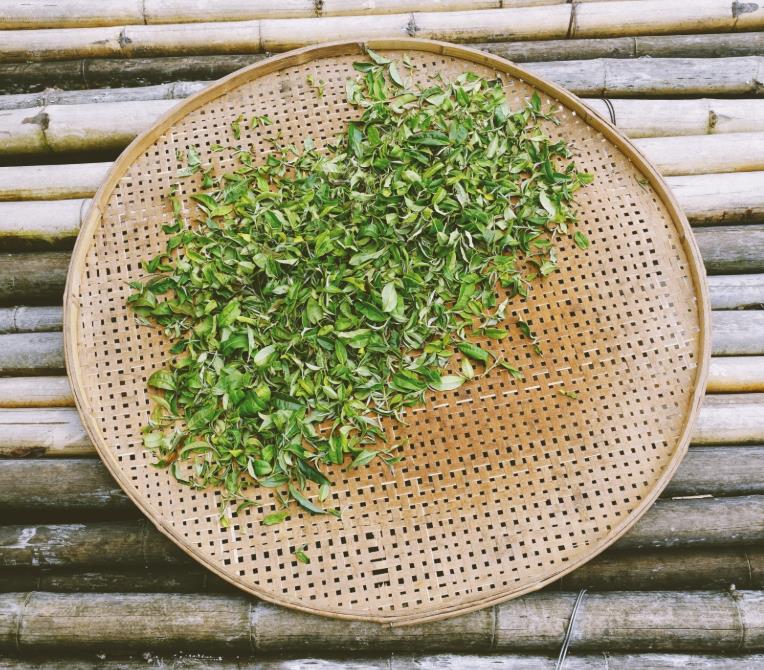 云南最美丽的民族,云南少数民族彝族风景