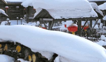 哈尔滨冰雪世界研学,新启元厦门暖冬研学营