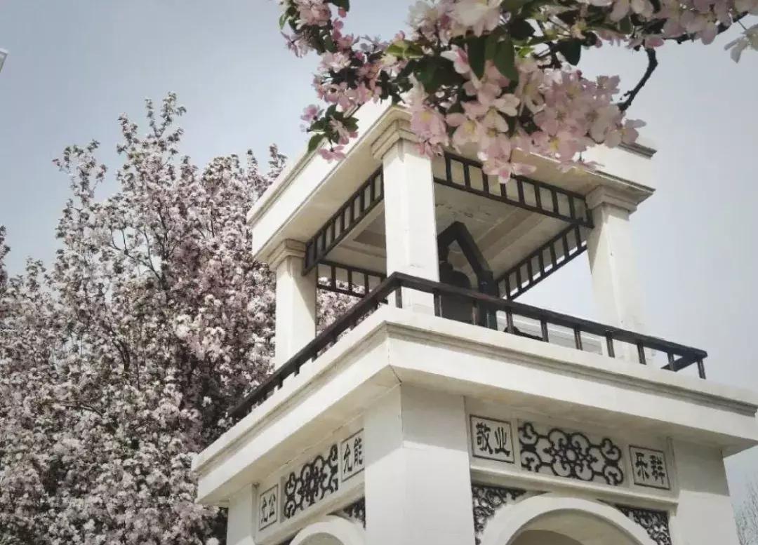 天津南开中学校史真实感受,天津南开中学有多厉害