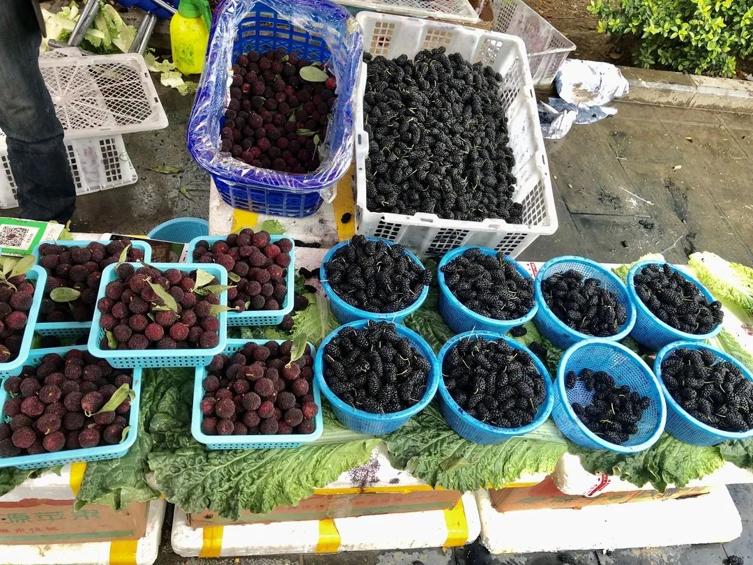 云南人最认同的本地食材,外省人来云南没有见过的菜