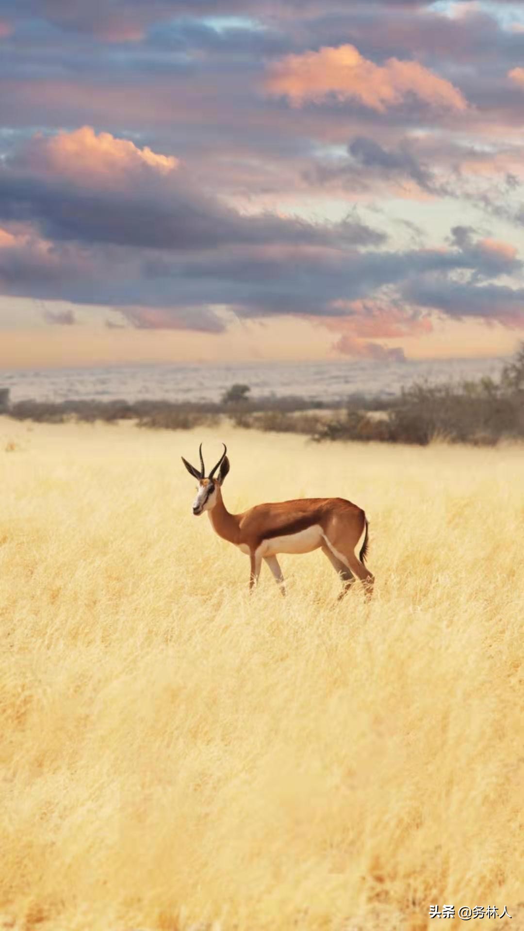 长白山森工集团怎么样,长白山森工集团工作稳定吗