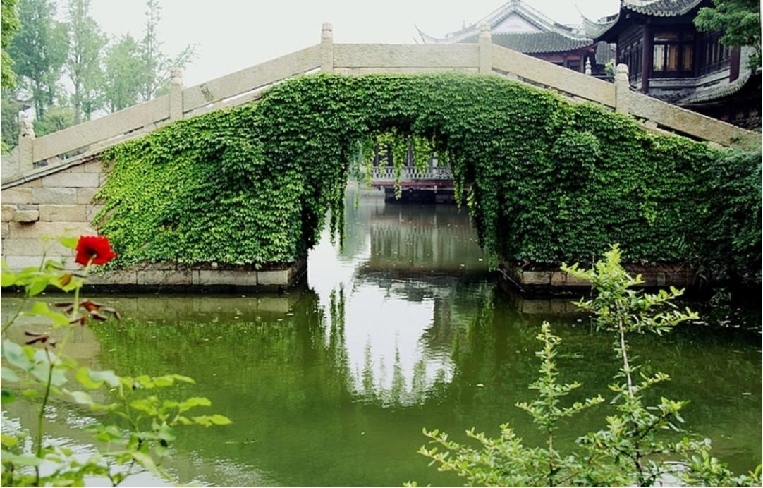 适合拍的古风景点,上海最值得拍照十条街