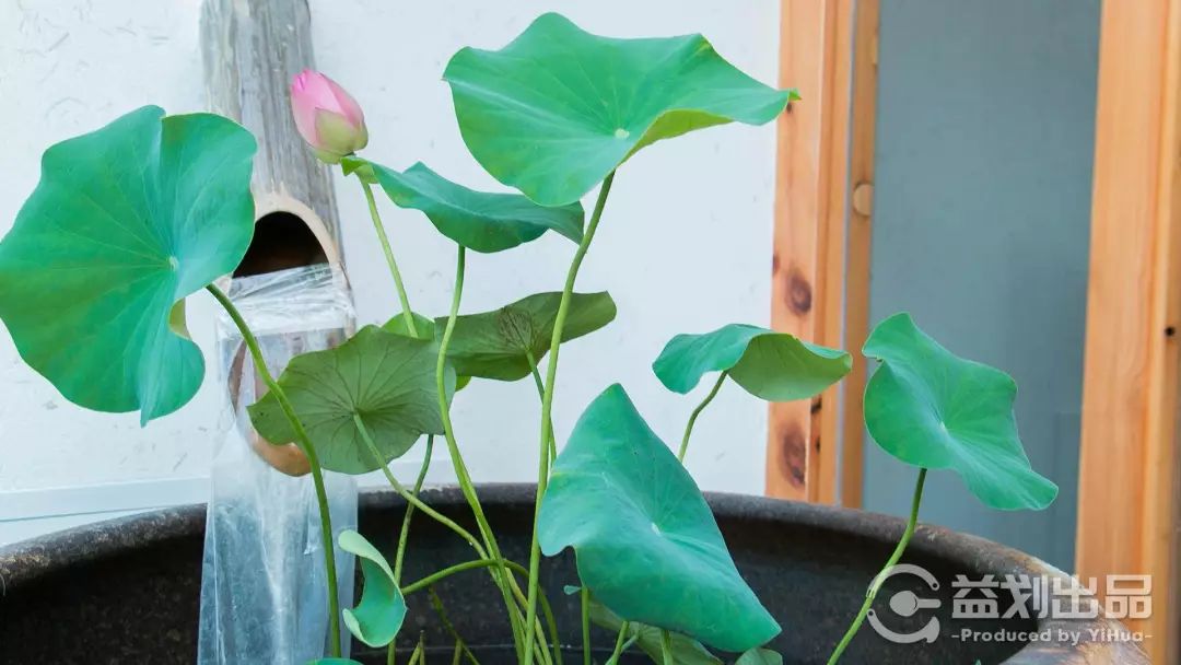 39.9按摩团购肩颈套餐,39.9元养生按摩