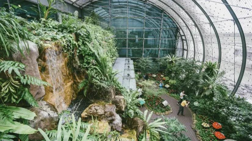 全球最大机场免税店,全球十大机场免税店你知道几个