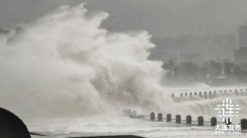 中心城区已清理305株倒伏树木，今夜大连仍风骤雨急！