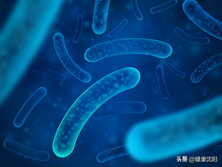 健康科普堂|秋冬已到，莫要“捂”出病