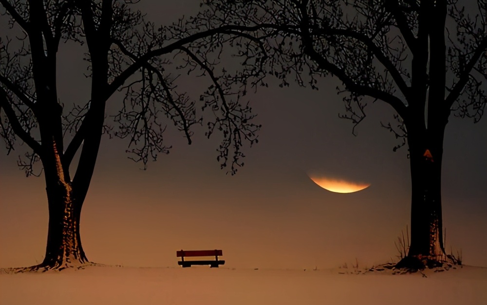 泰兴银杏最佳观赏期,泰兴银杏的传说