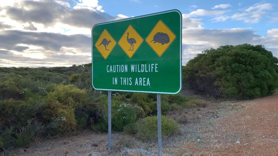 这地方是男人天堂,我们的大宝马也怕了