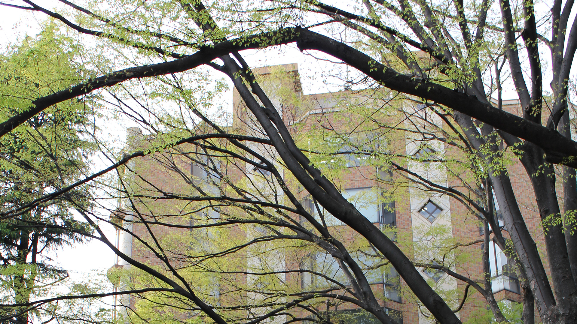 日本的著名学府东京大学，是一所怎样的学校？