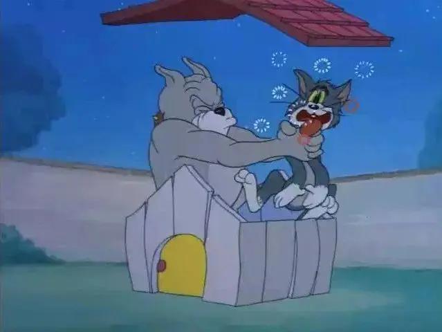 二十年后的汤姆猫,许多年后汤姆猫