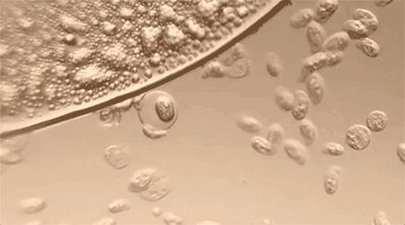 科普天天洗澡竟有两大危害,天天洗衣服衣服怎么还会脏