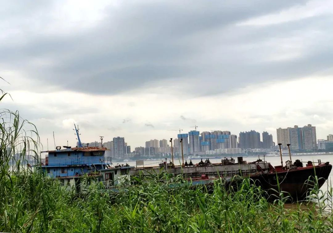 90年代白湖砖瓦厂,新华砖瓦厂