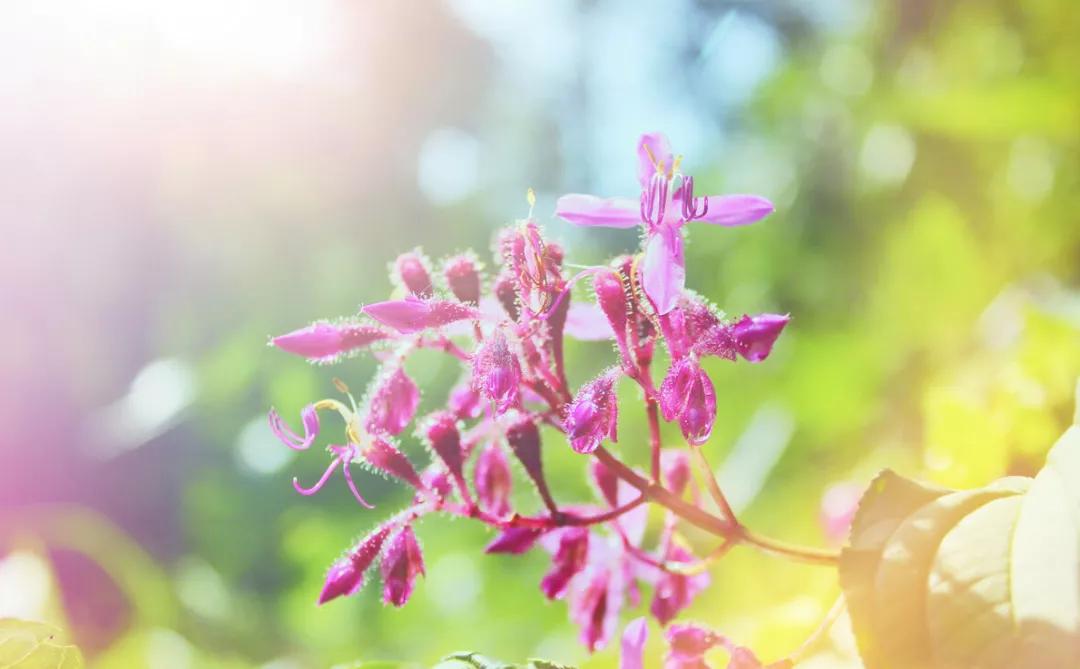 咳嗽十几天不见好转应该用什么药,有痰咳嗽不出针灸哪里