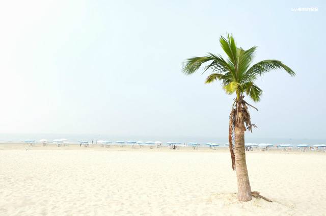 景色不输东南亚,美食百元吃到撑,这座滨海小城冬季正好最迷人