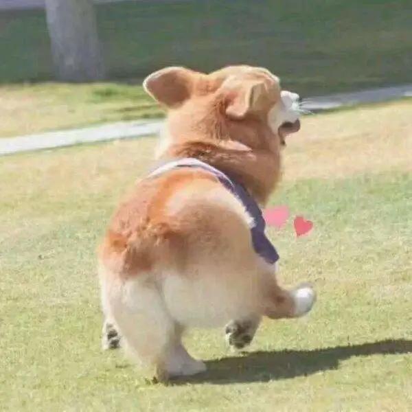 商家促销的节日,商家节日大促销