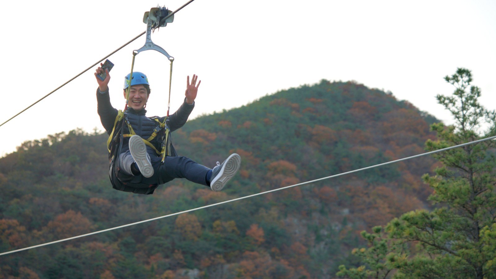 哇，人参随便挖！韩国还能这么玩