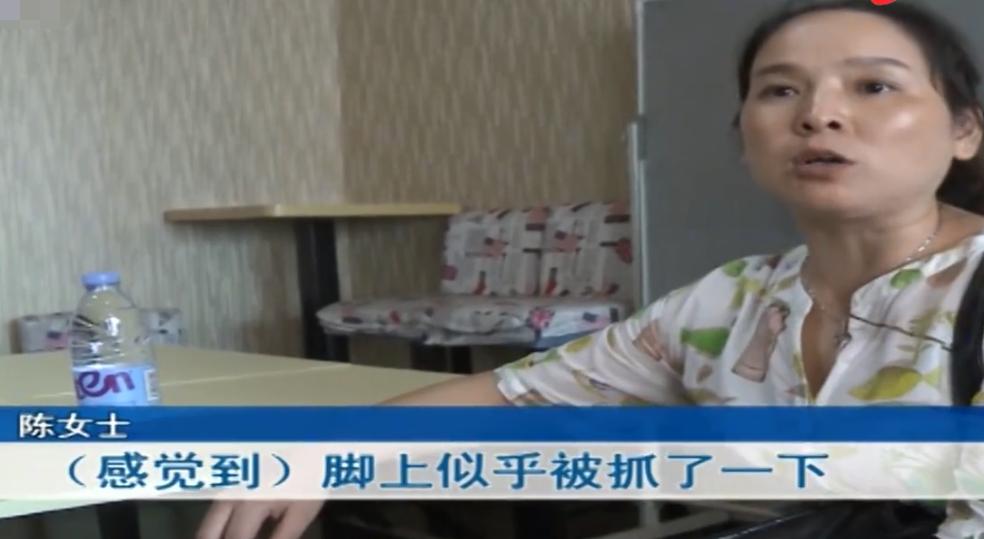 入住酒店被老鼠咬了应该怎么处理,入住酒店被老鼠咬了