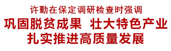 保定巩固拓展脱贫攻坚成果,保定脱贫攻坚与乡村振兴