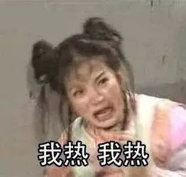 多少度狗狗会中暑,狗狗中暑打什么药