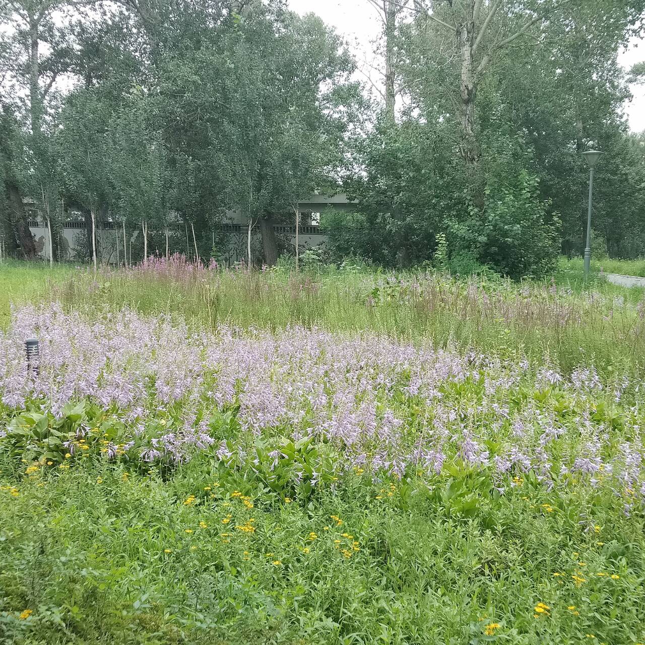 公主岭是长春的一个区吗,公主岭是哪个省地名