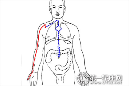 针灸学太白在哪条经脉,再看针灸学之经脉篇