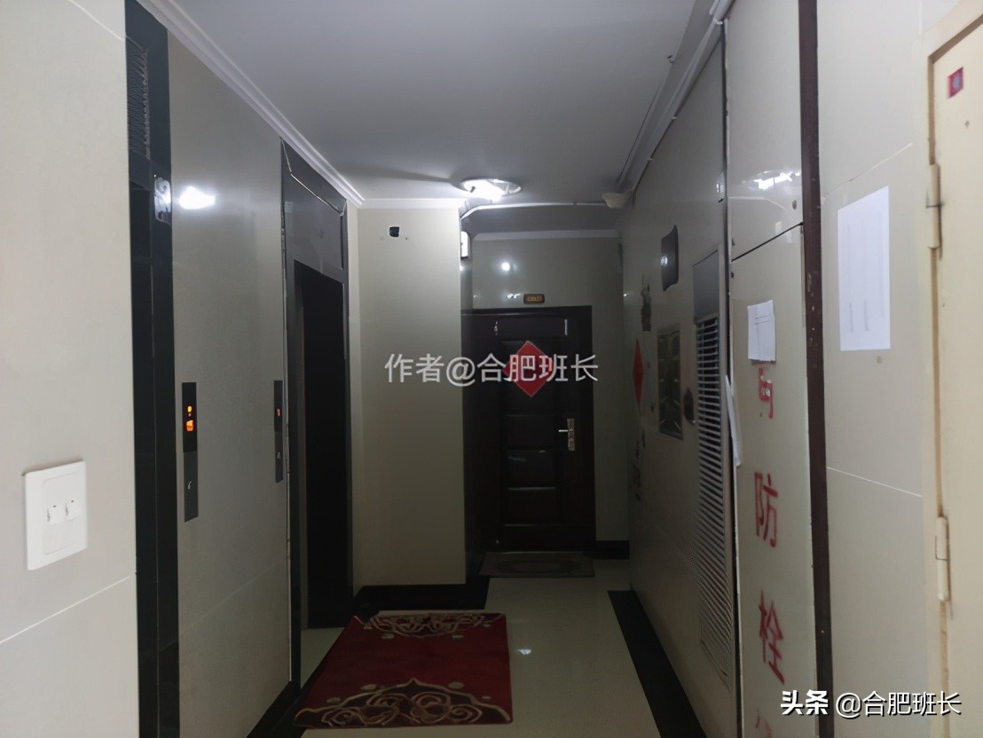 合肥水景房推荐,合肥绿地海顿公馆是住宅吗