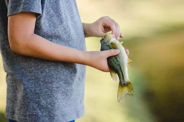 摄影怎么样才能拍出优美的画面,摄影入门轻松拍出好照片