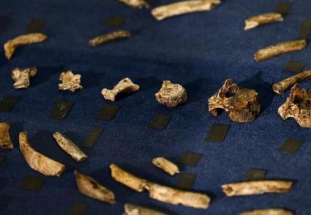 12万年前的人类脚印,200万年前就有人类足迹