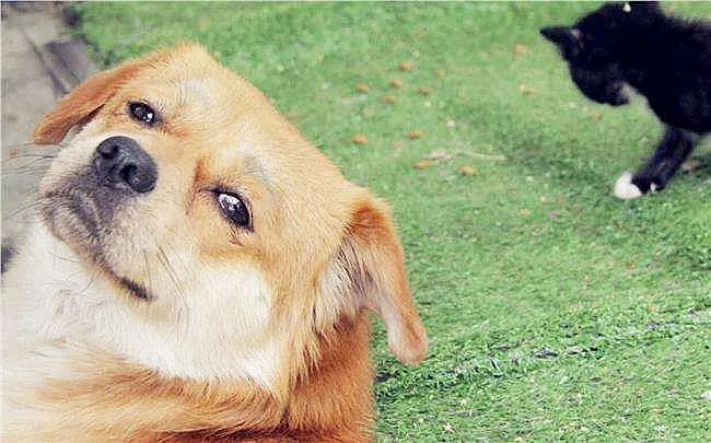 买了就后悔，人间防电商，双十一太南了