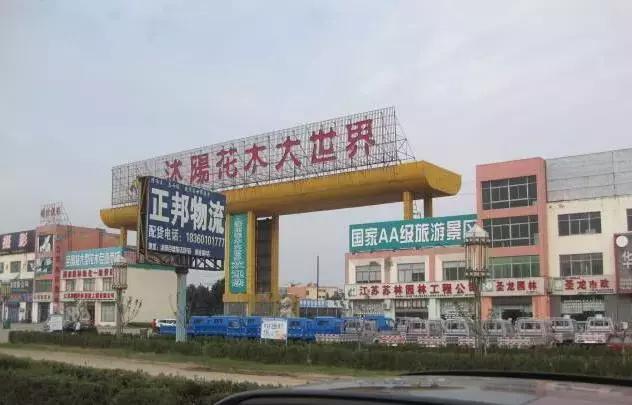 闻名的花木之乡,著名花木基地