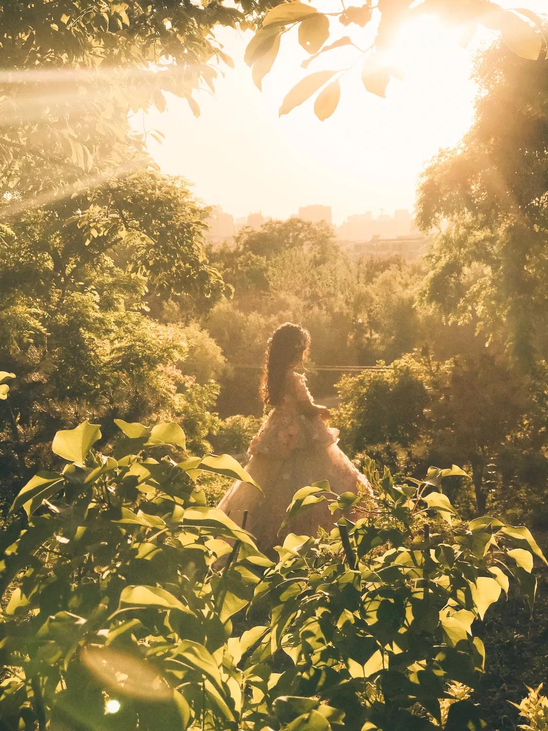 iphone相机操作指南广角镜头篇,iphone相机操作指南3.0