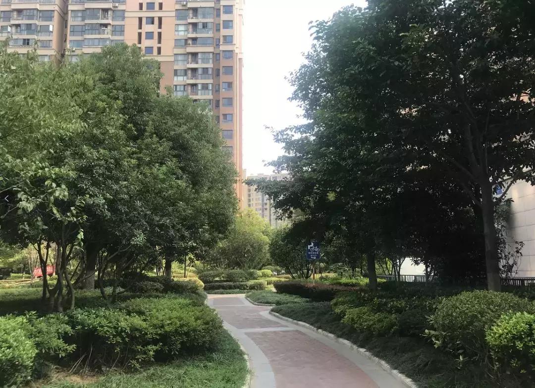 板桥神盘,板桥逸景的房子值得买吗