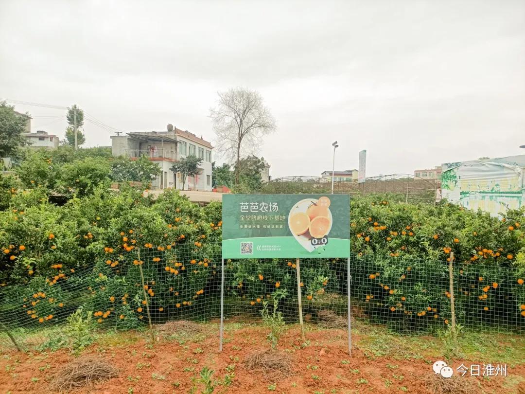 淮口景区,淮口附近旅游景区推荐一下