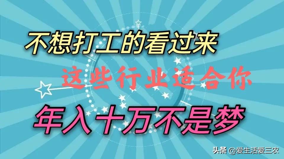 低成本小投入的行业,现在做什么低成本高收入行业