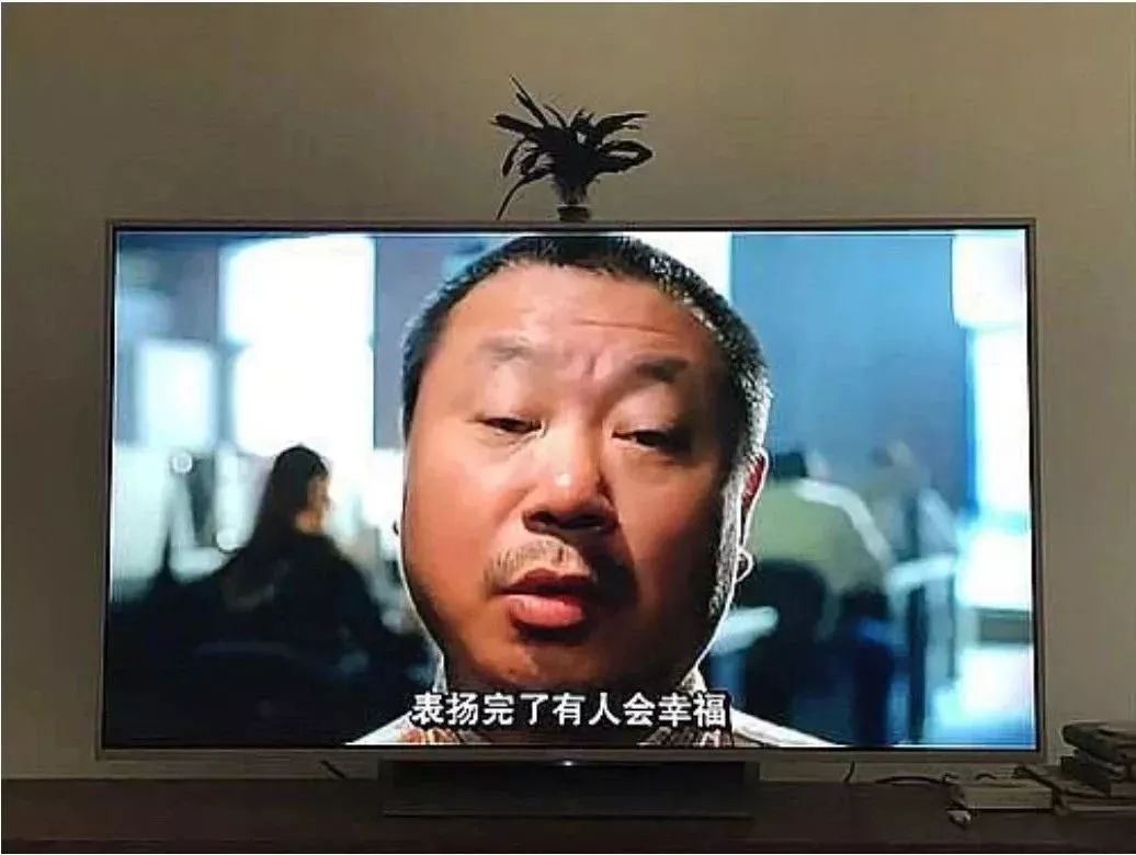 每日一乐让你一天都快乐,每日一乐让你快乐