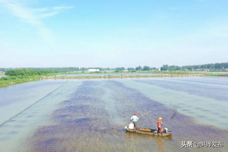 江苏洪*东泽**双沟镇：奋进赶考路勇争开拓者