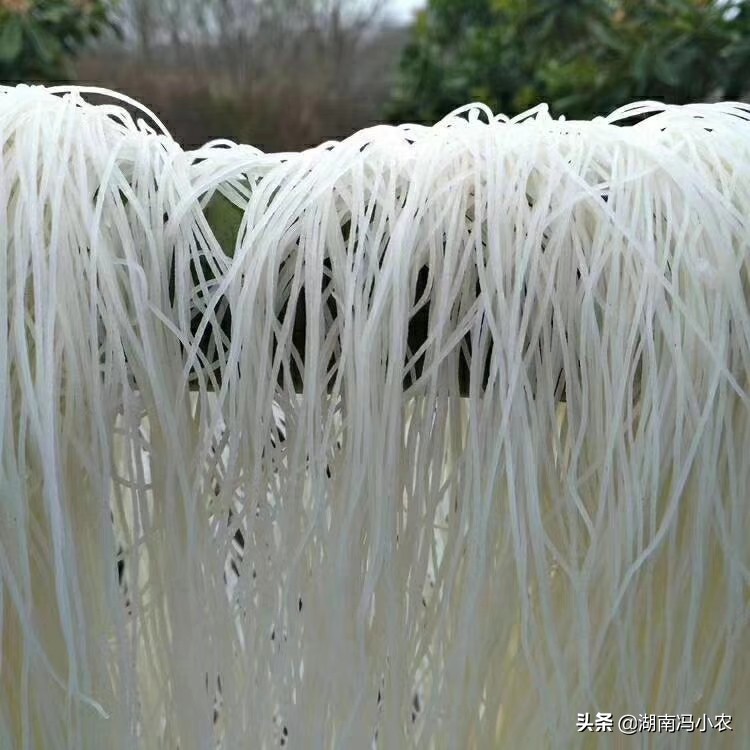 湖南衡阳县渣江米粉的调制,湖南衡阳渣江米粉制作过程视频