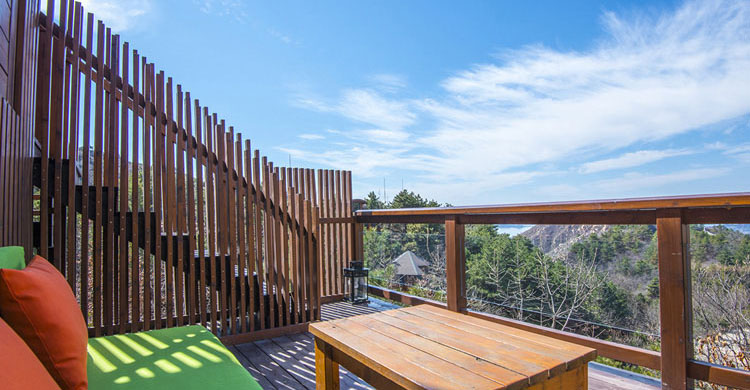 疫情退散便是花开之时,疫情退散之时花开之日