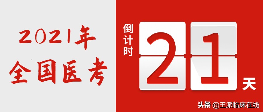 乡村大神笔记4:个个都是考点!乡村泌尿生殖系统必考点来了