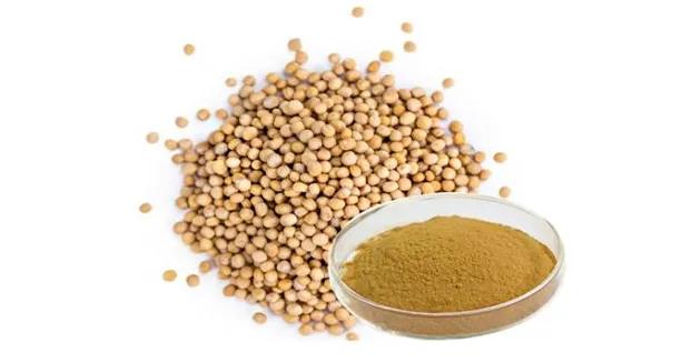 欧米奇山东,西餐黄色酱汁