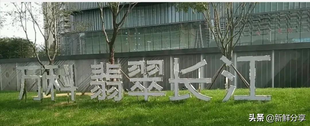 万科西海岸哪个楼盘最好,万科在黄岛有哪些楼盘