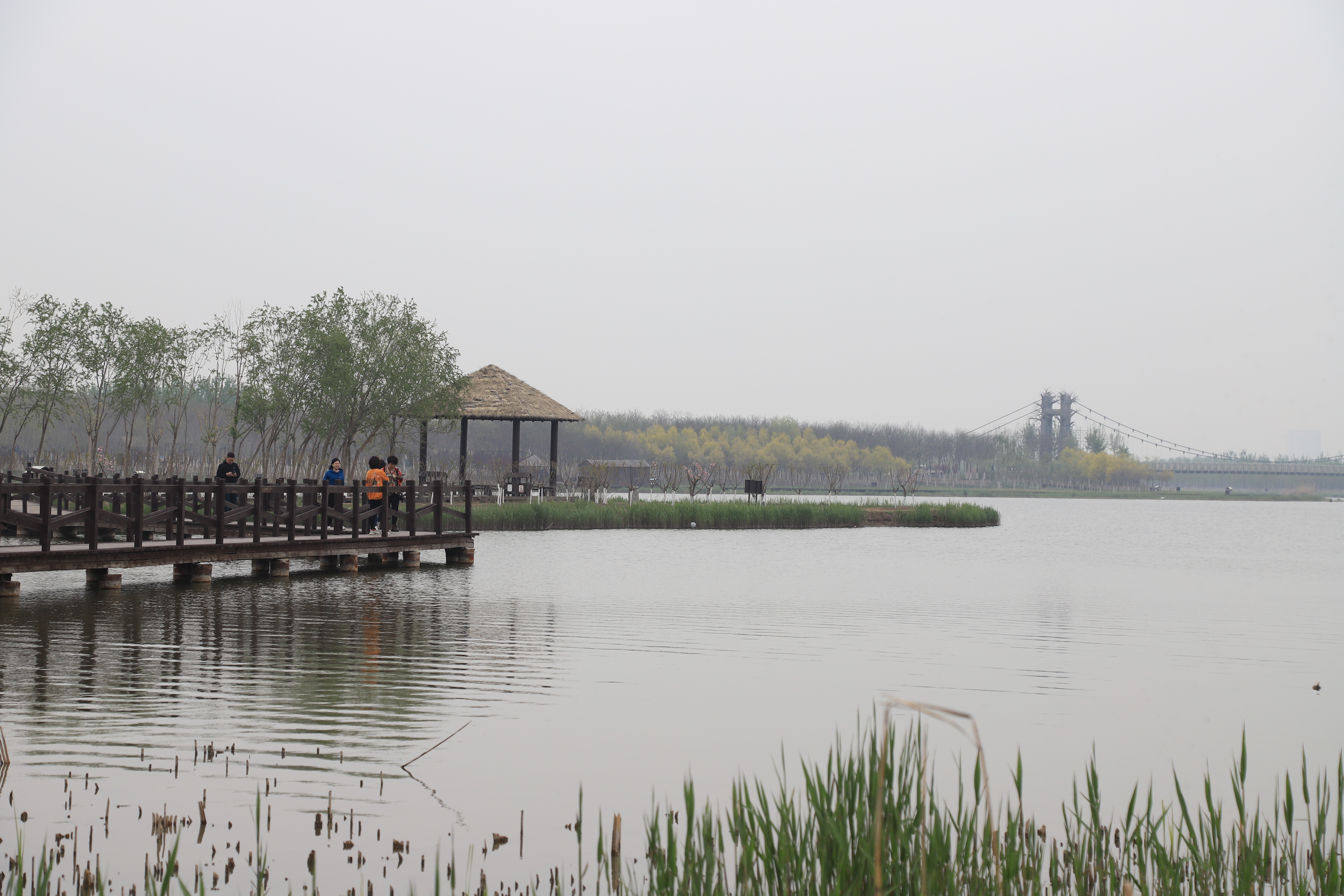 新奇好玩的公园,西青郊野公园开放最新通知