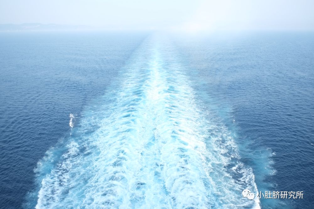 邮轮旅行5天多少钱合适儿童,带孩子坐邮轮旅游攻略日本