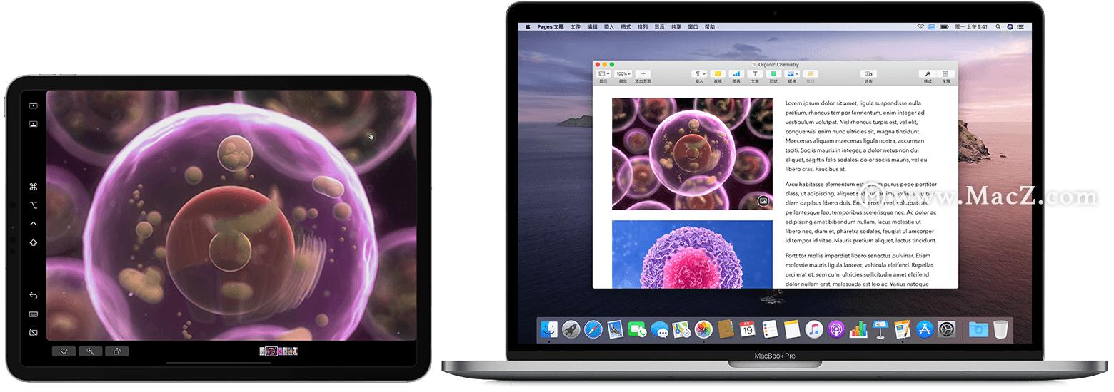 苹果连续互通功能,苹果连续互通设备要求