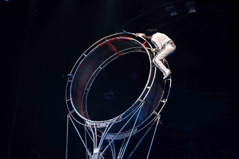 广州长隆野生动物世界的游玩攻略,广州长隆野生动物世界一日游回顾