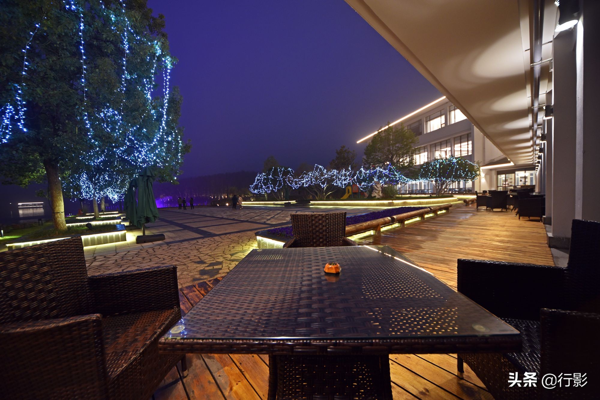 南京紫金山庄菜,南京紫金山庄钟山楼