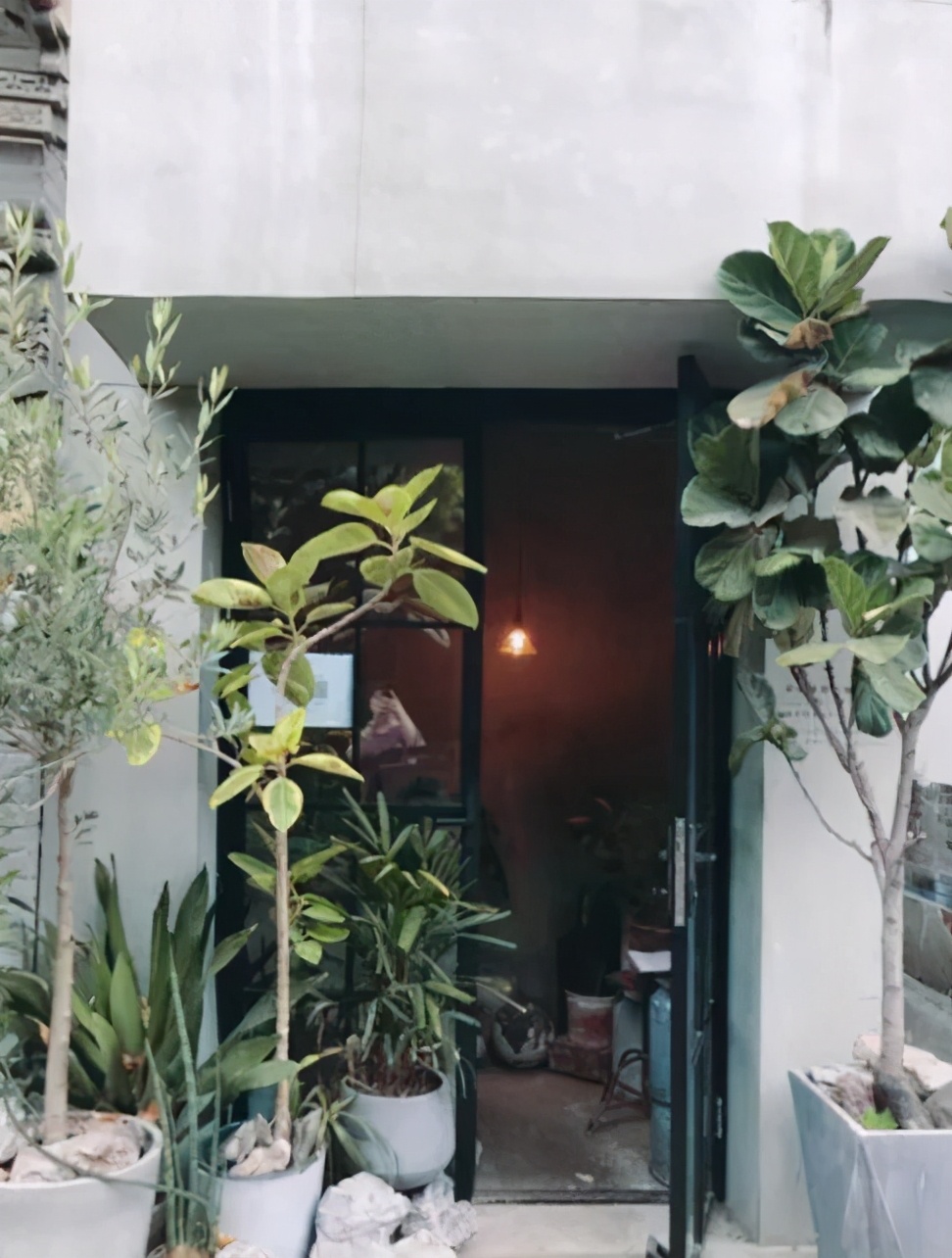 开在胡同里的花店,这家藏在北京老胡同里的花店