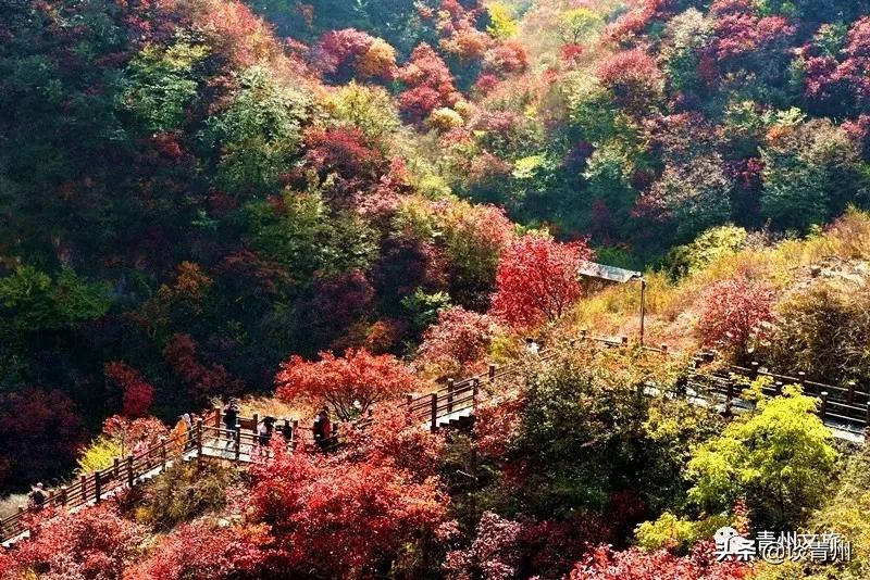 青州市区景区地图,青州全域旅游