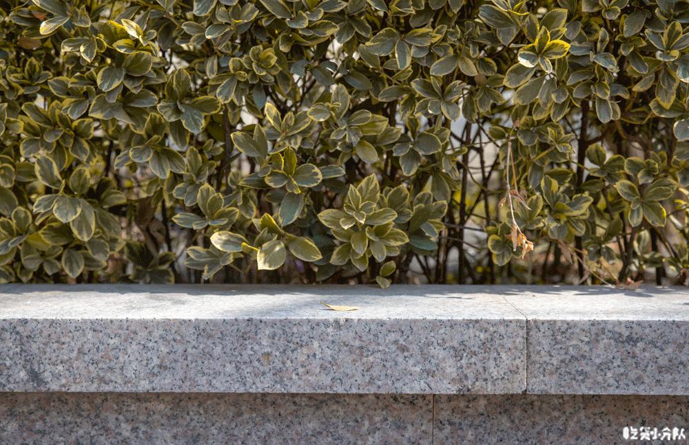 战斗民族零食真的好吃吗,战斗民族的硬核零食